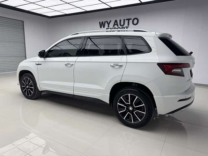 Skoda Karoq, 2023 — фото 4 из 9