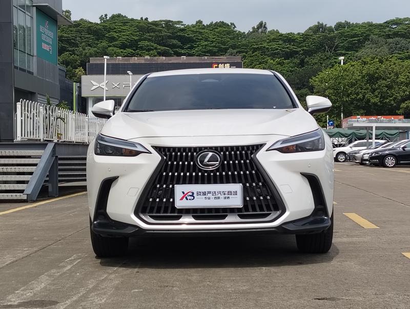 Lexus NX, 2023 — фото 2 из 12