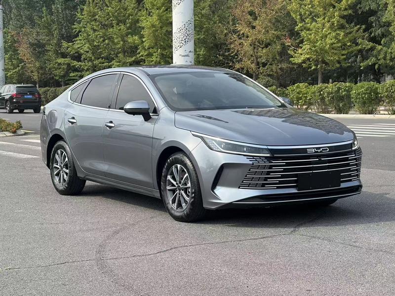 BYD Destroyer 05, 2023 — фото 3 из 9