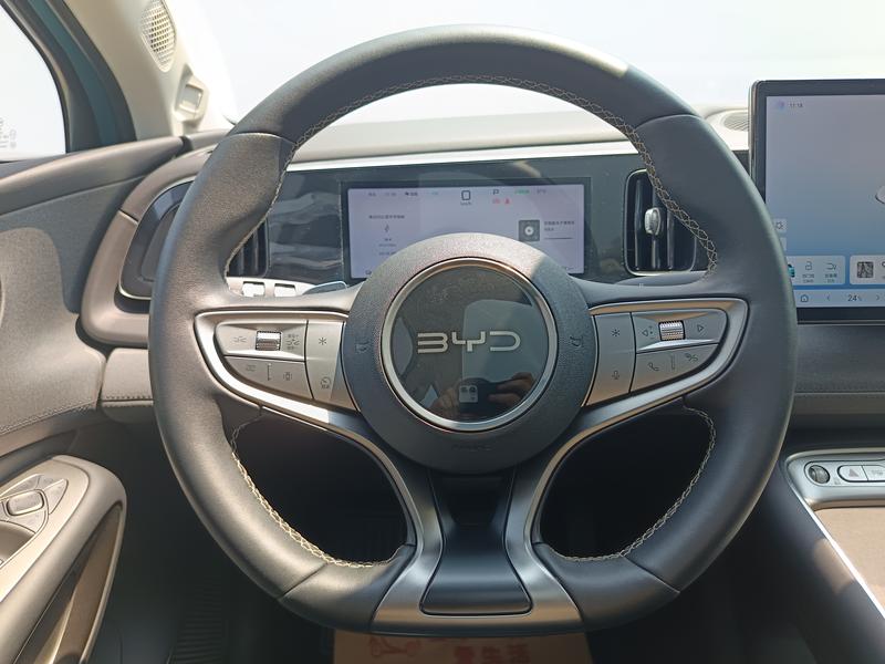 BYD Sea Lion 05 EV, 2025 — фото 7 из 12