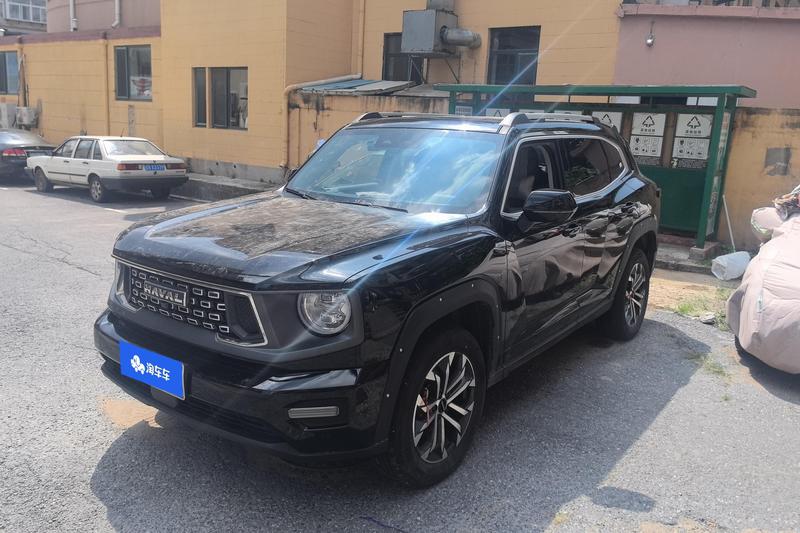 Haval H-Dog, 2024 — купить в Рязани под ключ