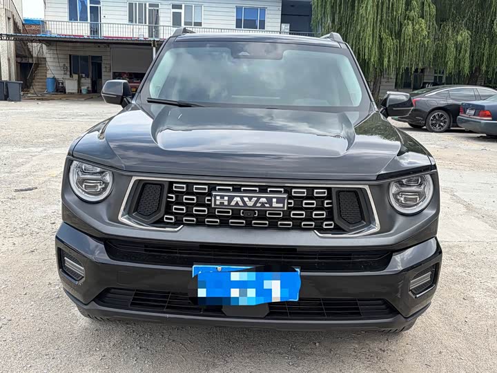 Haval H-Dog, 2024 — фото 2 из 9