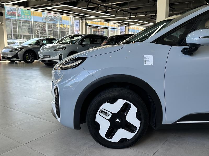 BAIC Arcfox Kaola S, 2024 — фото 4 из 12