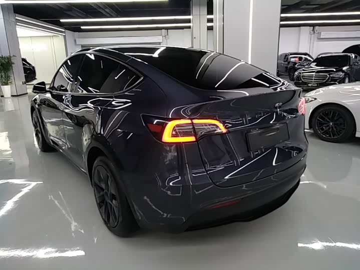 Tesla Model Y, 2024 — фото 5 из 9