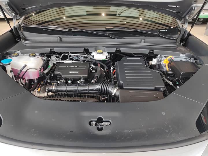 BYD Sea Lion 06 Hybrid/EV, 2025 — фото 7 из 9