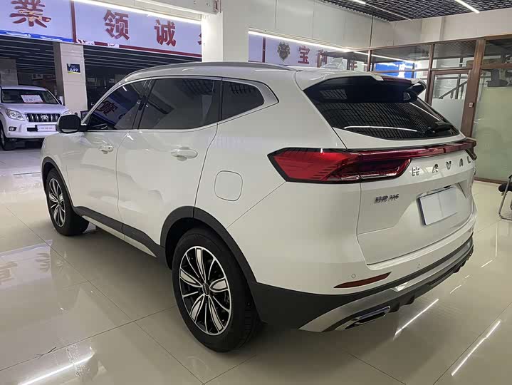 Haval H6, 2023 — фото 6 из 9