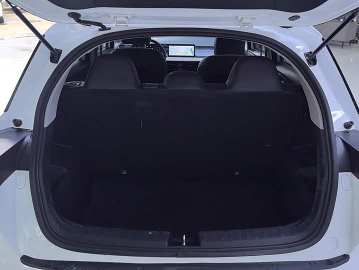 Geely Geometry E Firefly, 2024 — фото 4 из 9