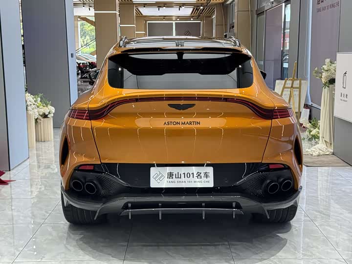 Aston Martin DBX, 2021 — фото 5 из 9