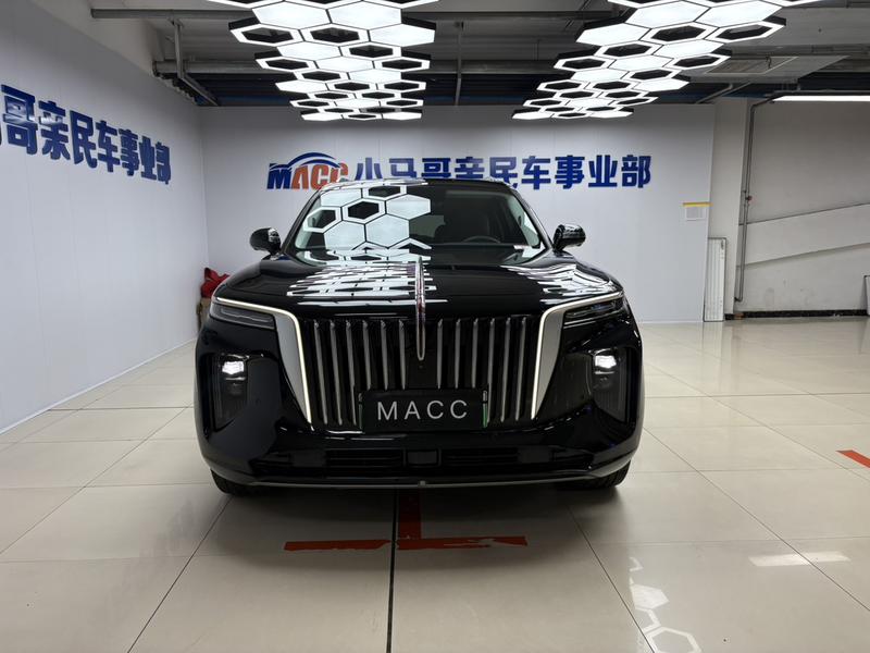 Hongqi E-HS9, 2023 — фото 2 из 10