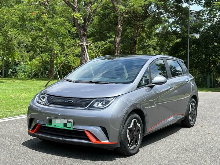 BYD Dolphin, 2022 — купить в Перми под ключ