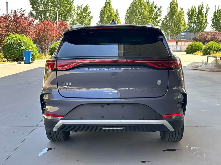 BYD Tang Hybrid/EV, 2023 — фото 8 из 9