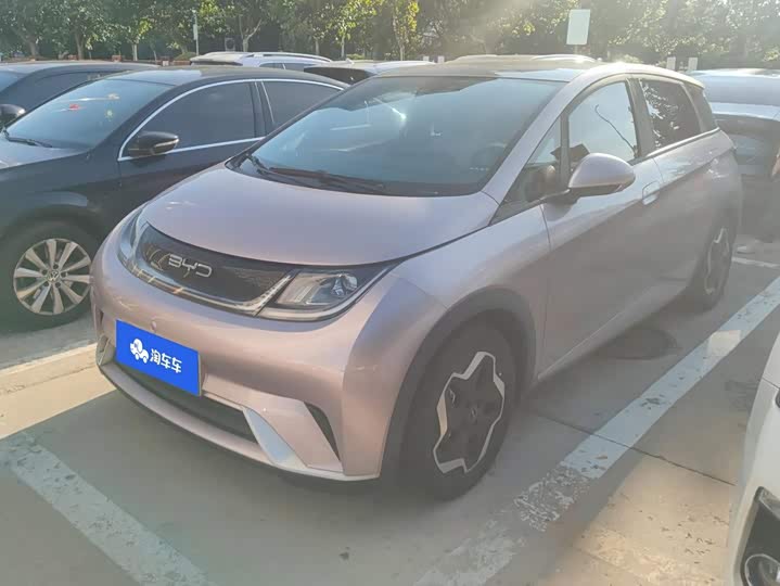BYD Dolphin, 2022 — купить в Тамбове под ключ