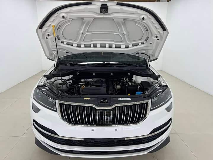 Skoda Karoq, 2022 — фото 7 из 9
