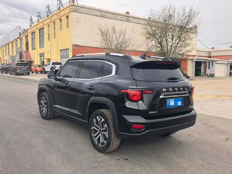 Haval H-Dog, 2023 — фото 4 из 10