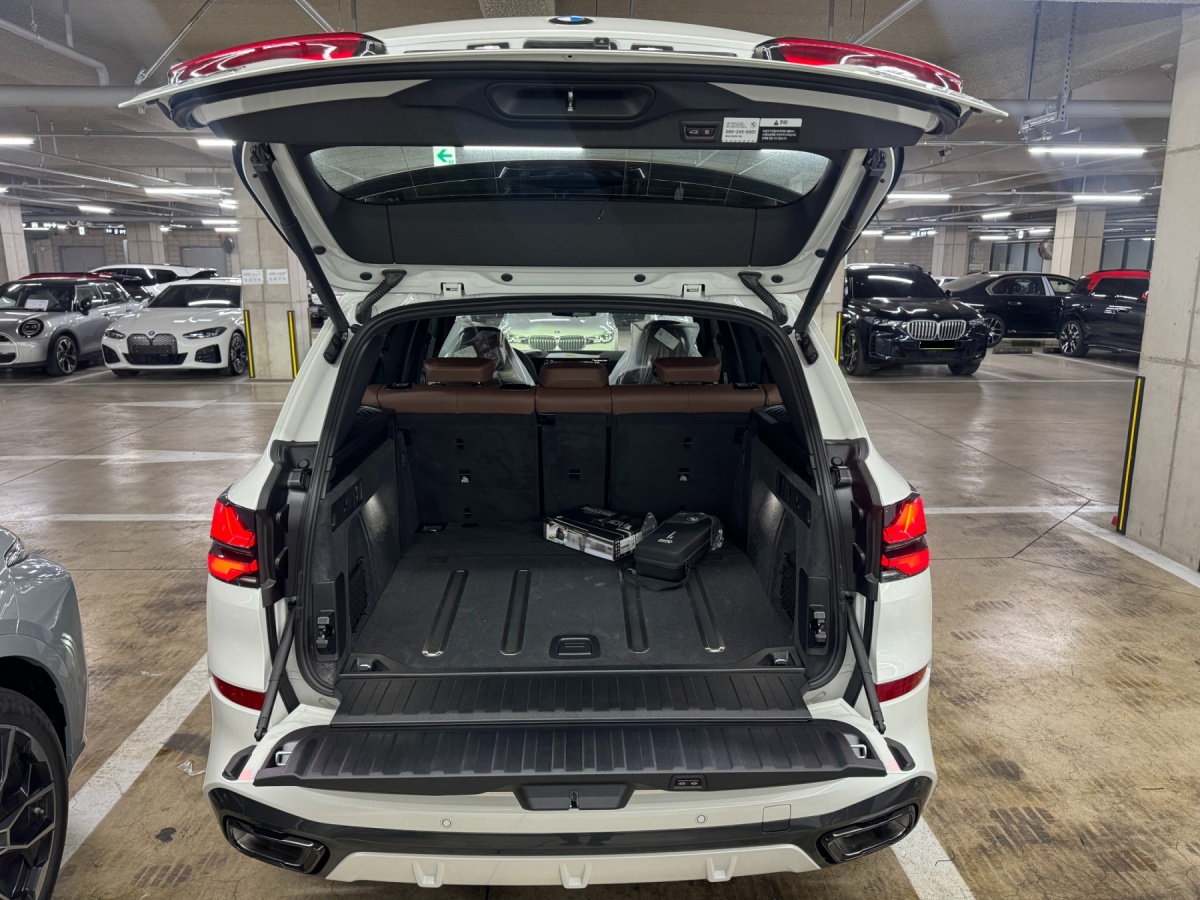 BMW X5, 2025 — фото 5 из 11