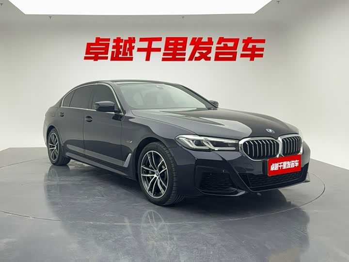 BMW 5 Series Hybrid, 2021 — фото 2 из 9