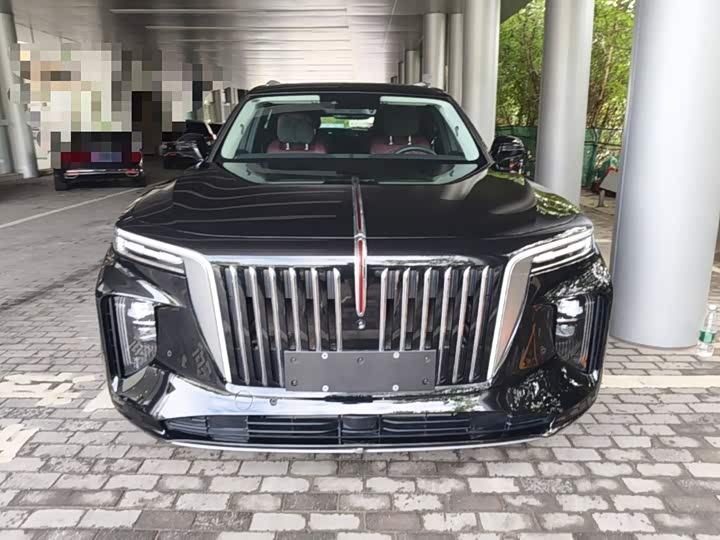 Hongqi E-HS9, 2023 — фото 3 из 9