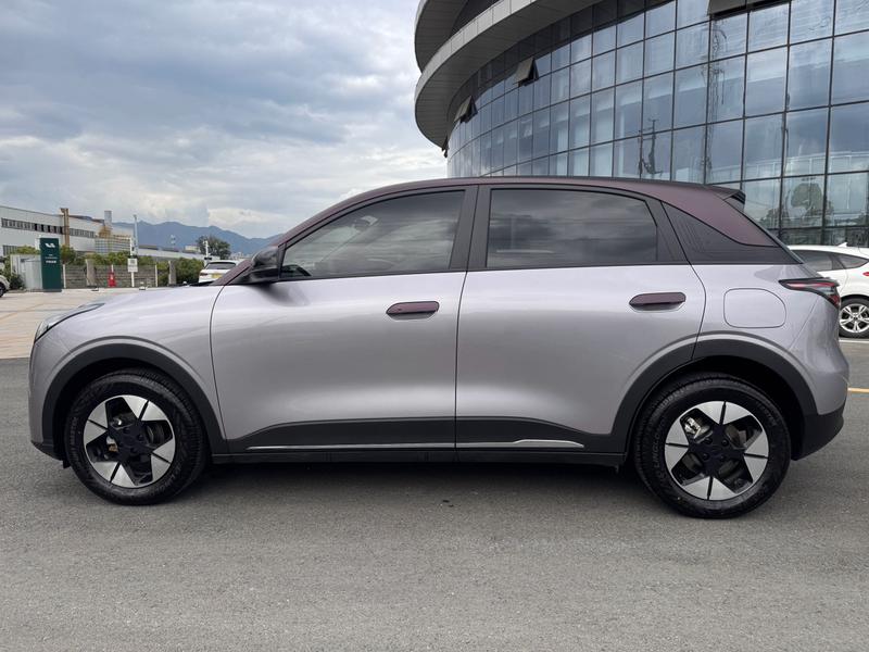 Geely Galaxy Geome, 2025 — фото 4 из 12