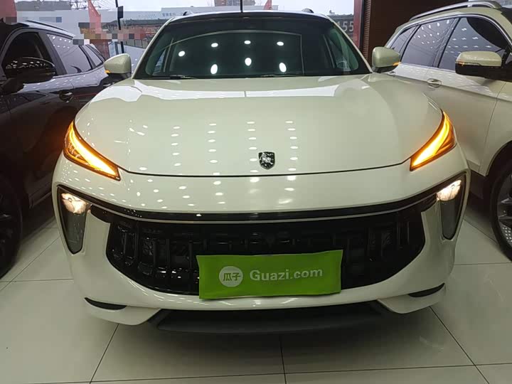 Dongfeng Forthing T5 EVO, 2023 — фото 3 из 9