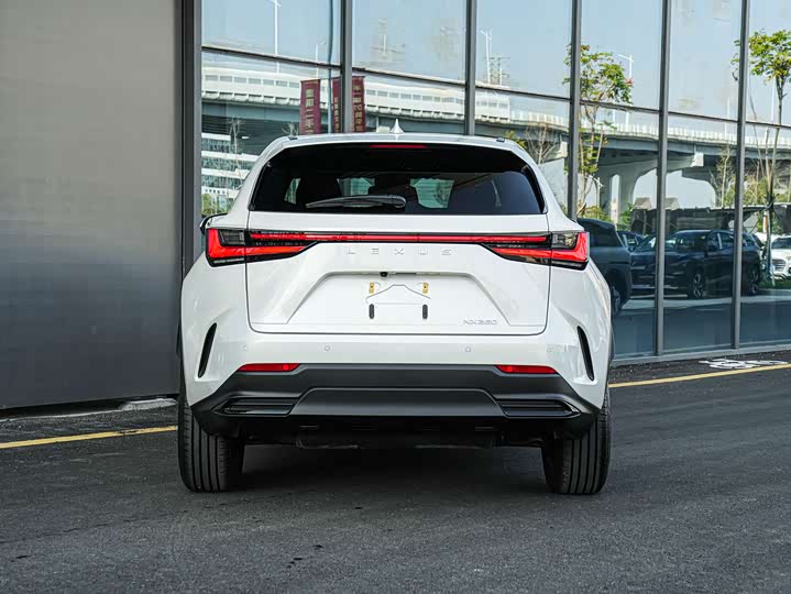 Lexus NX, 2023 — фото 5 из 9