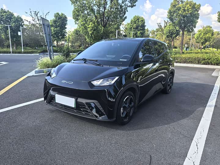 BYD Seagull, 2023 — купить в Смоленске под ключ