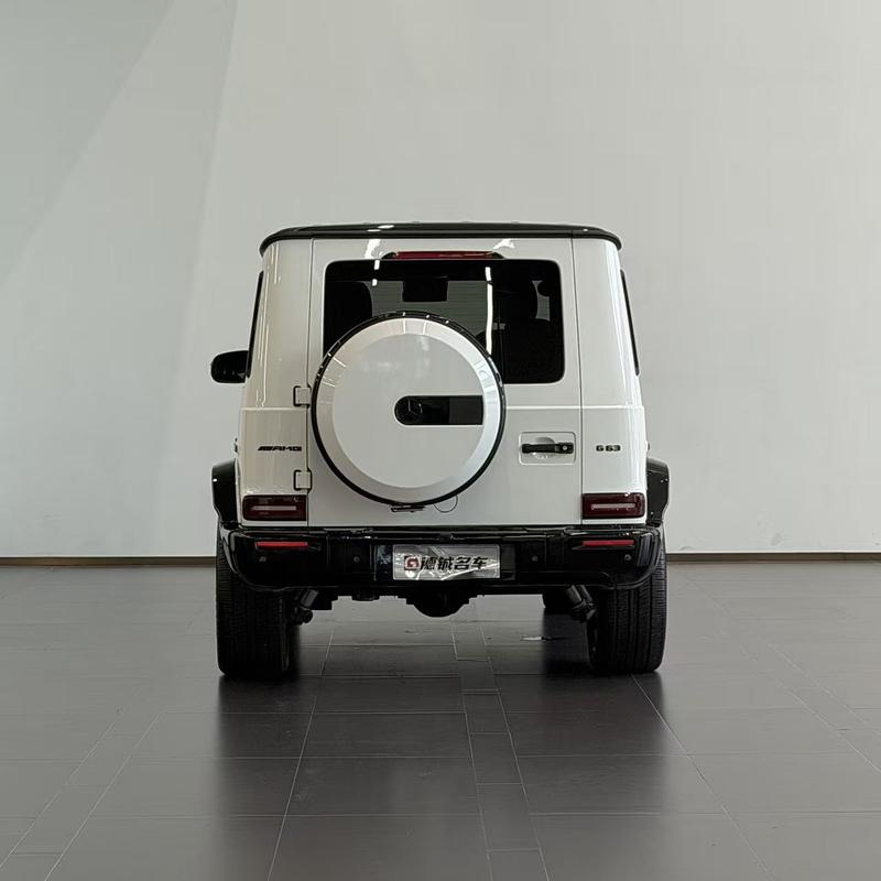 Mercedes-Benz G-Class, 2023 — фото 5 из 11