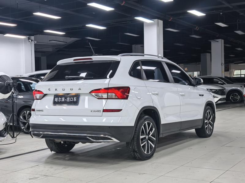 Skoda Kamiq, 2023 — фото 7 из 12