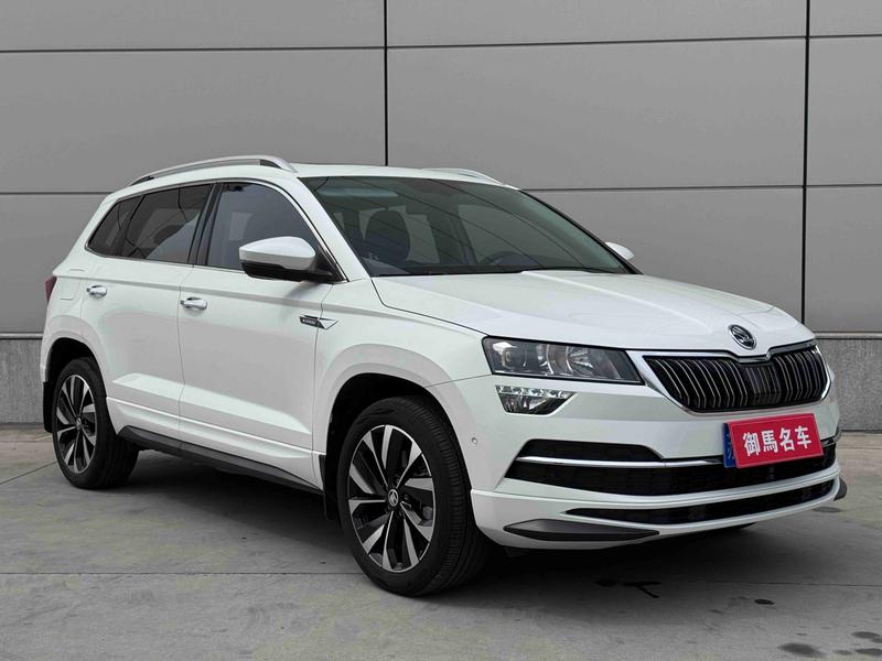 Skoda Karoq, 2024 — фото 3 из 11
