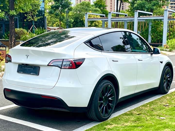 Tesla Model Y, 2022 — фото 8 из 9
