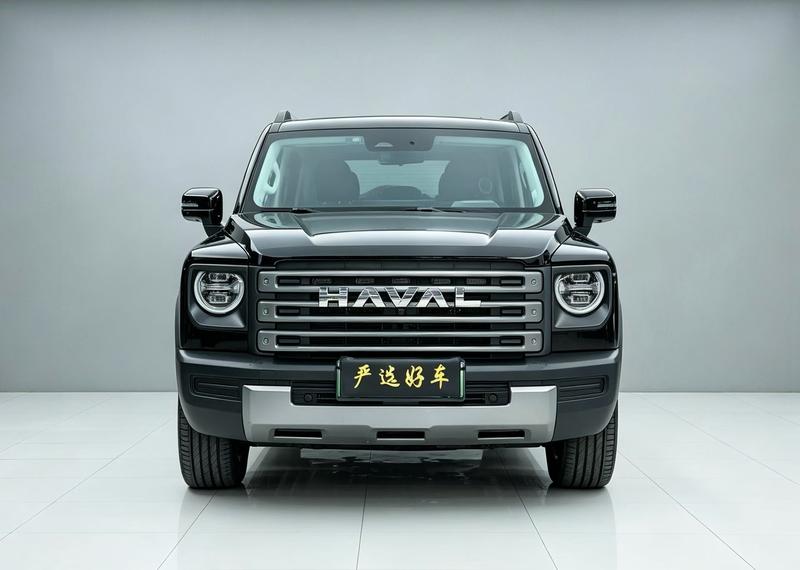 Haval Raptor Hybrid, 2024 — фото 2 из 10