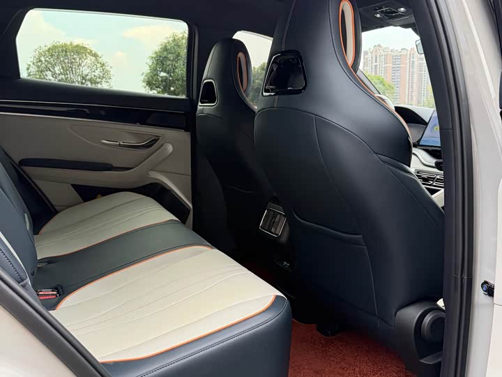 BYD Song Plus Hybrid/EV, 2024 — фото 8 из 9