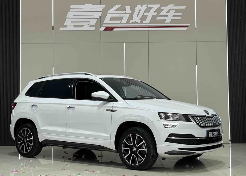 Skoda Karoq, 2023 — фото 3 из 10