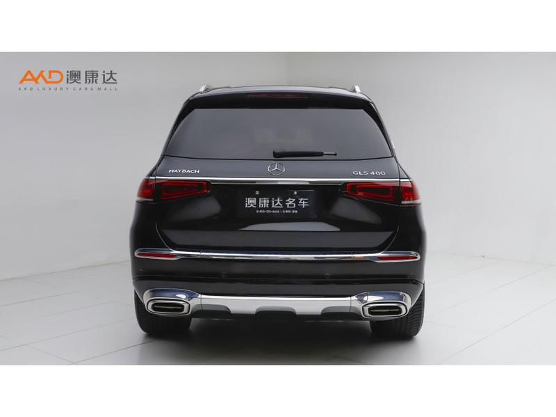 Mercedes-Benz Maybach GLS, 2022 — фото 3 из 8