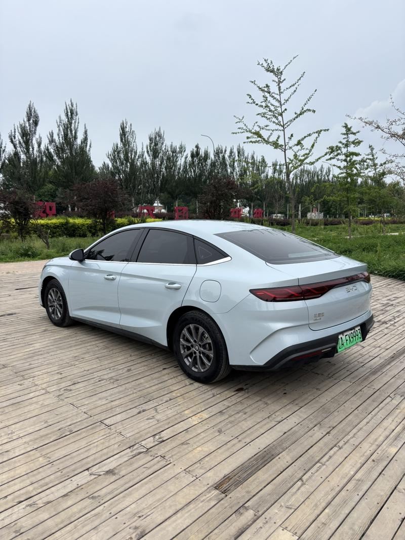 BYD Qin L, 2024 — фото 4 из 10