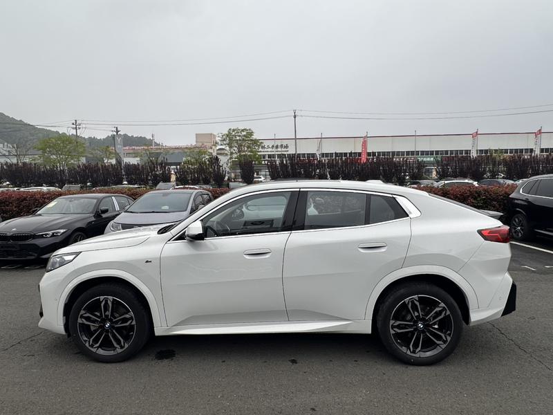 BMW X2, 2025 — фото 3 из 9