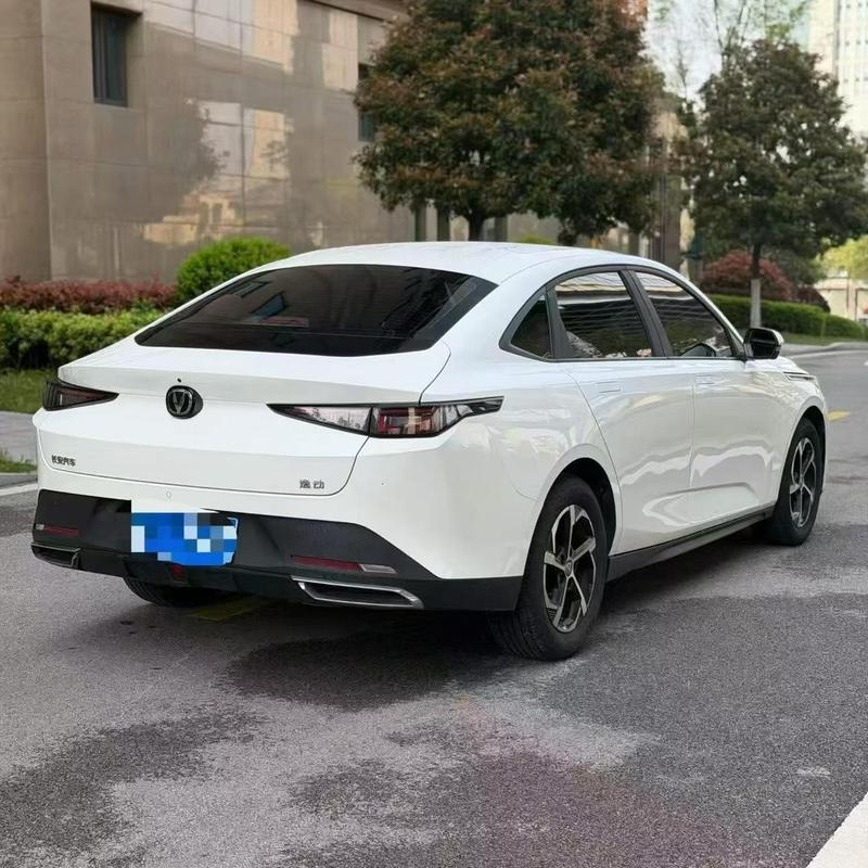 Changan Eado Plus, 2024 — фото 6 из 10