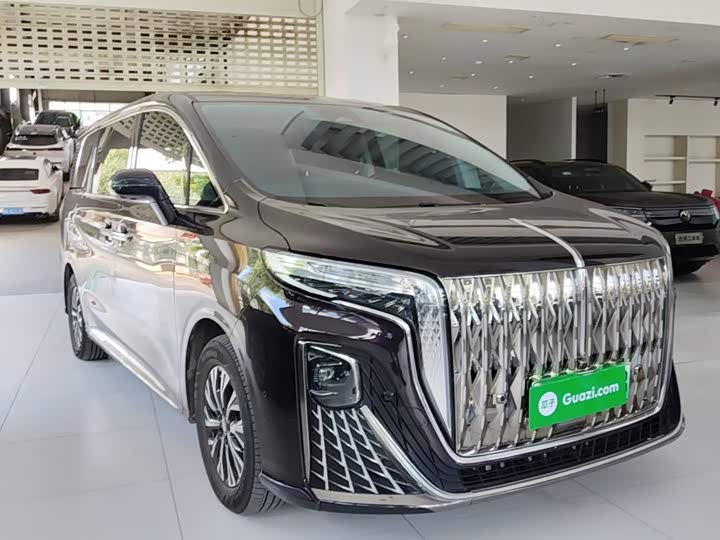 Hongqi HQ9 Hybrid, 2024 — фото 4 из 9