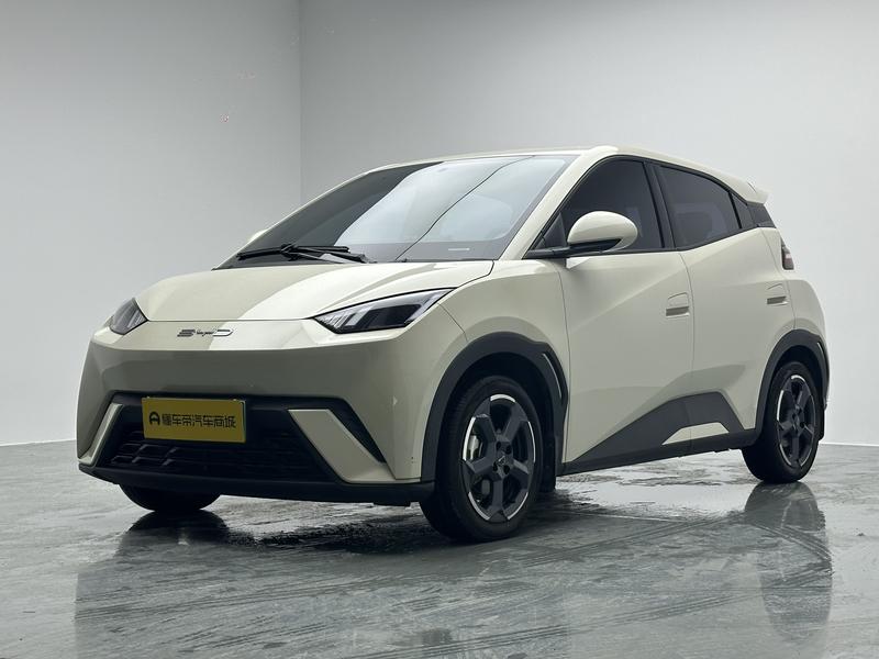 BYD Seagull, 2023 — купить в Белгороде под ключ