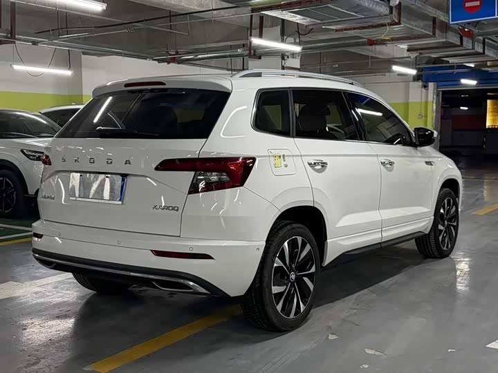 Skoda Karoq, 2022 — фото 6 из 9