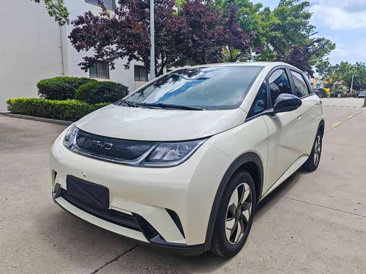 BYD Dolphin, 2026 — купить в Иванове под ключ
