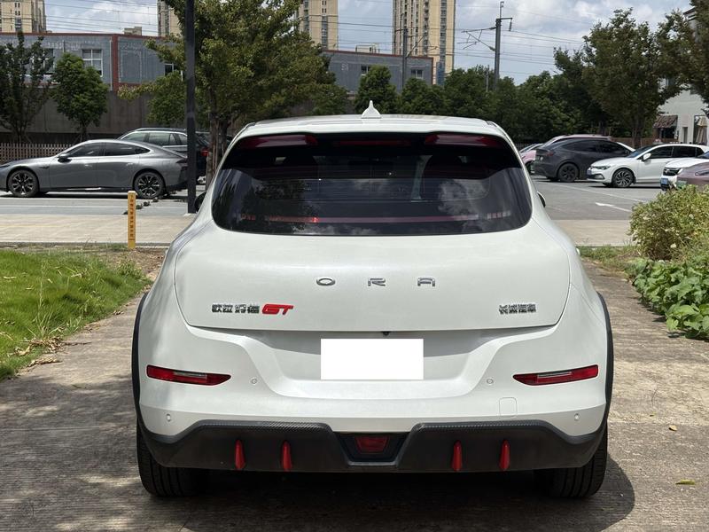 Ora Good Cat GT (03 GT), 2023 — фото 5 из 12