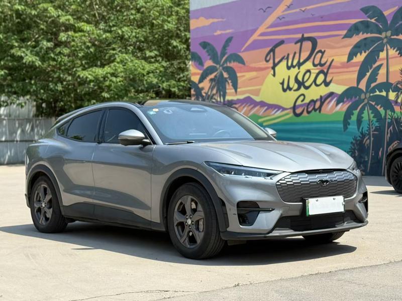 Ford Mustang Mach-E, 2022 — фото 3 из 10