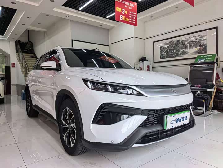 BYD Song Pro Hybrid, 2024 — фото 2 из 9