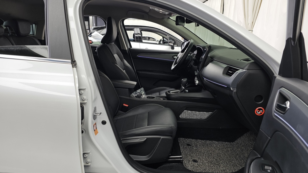 Renault XM3, 2021 — фото 11 из 12