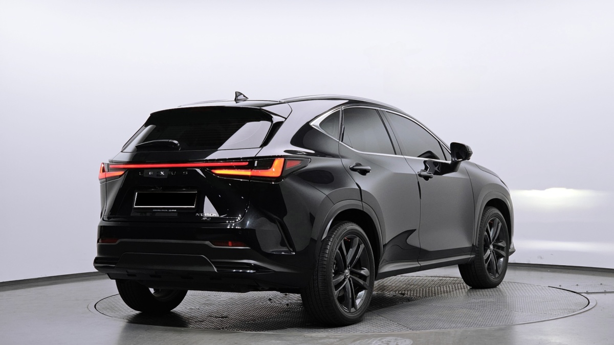 Lexus NX, 2023 — фото 2 из 12