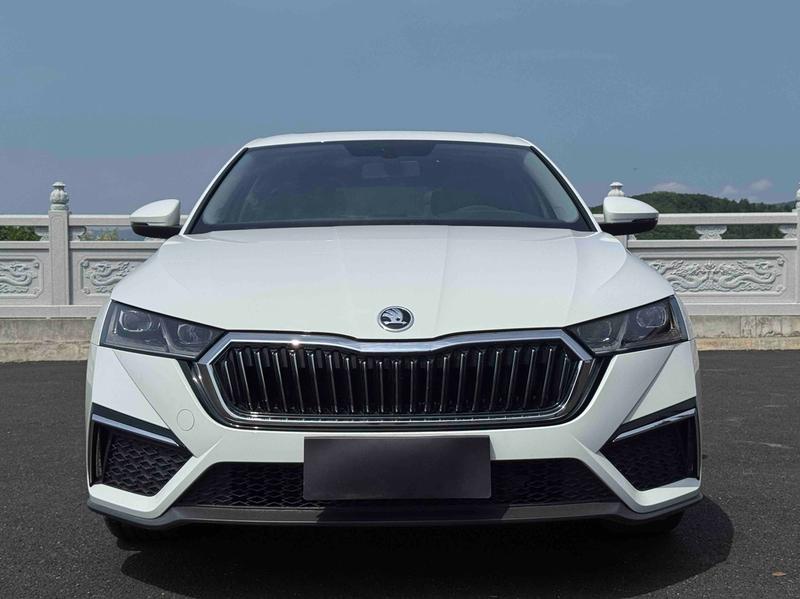 Skoda Octavia Pro, 2023 — фото 2 из 12