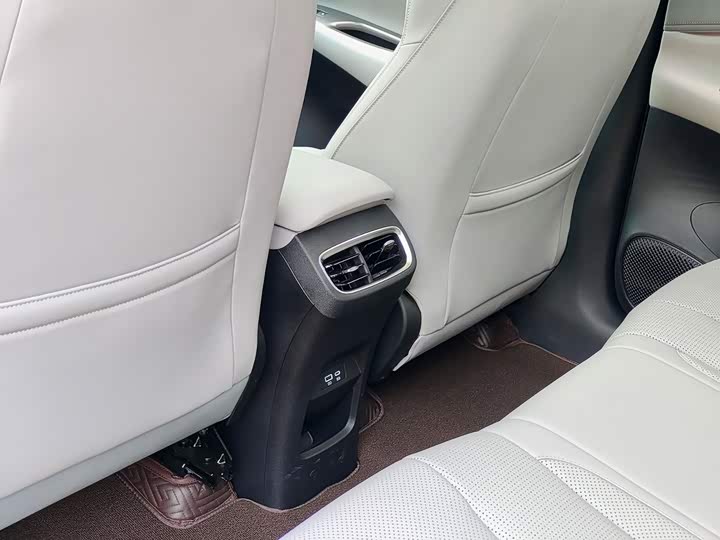 BYD Sea Lion 06 Hybrid/EV, 2025 — фото 9 из 9