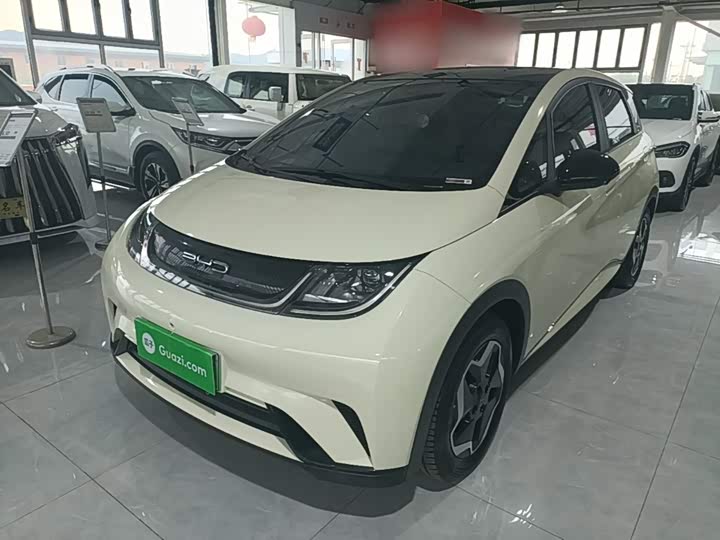BYD Dolphin, 2022 — купить в Казани под ключ
