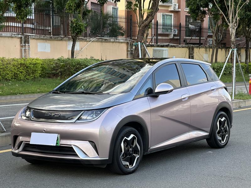 BYD Dolphin, 2021 — купить в Санкт-Петербурге под ключ