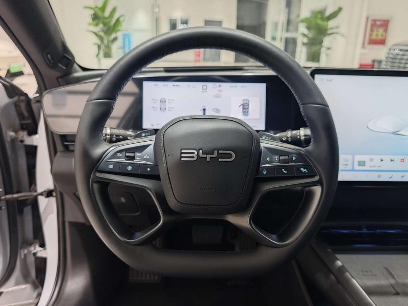 BYD Seal, 2025 — фото 8 из 12